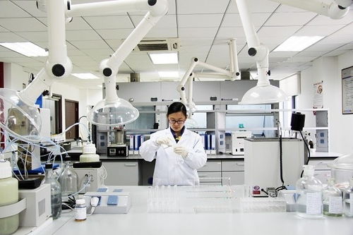 国家企业技术中心2021年评价结果揭晓 徐工高居行业榜首 彰显创新硬实力